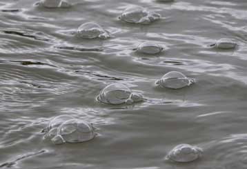 Νέα απειλή για το κλίμα αναβλύζει από την τούνδρα της Αρκτικής