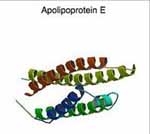 Η γονιδιακή προδιάθεση επισπεύδει την έκπτωση της μνήμης