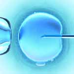 Υψηλότερο ποσοστό επιτυχίας μετά από πολλαπλούς κύκλους υποβοηθούμενης αναπαραγωγής