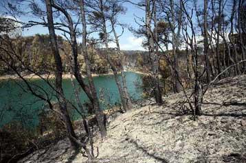 «Τοξική βόμβα» η λίμνη του Μαραθώνα μετά τις πυρκαγιές του Αυγούστου