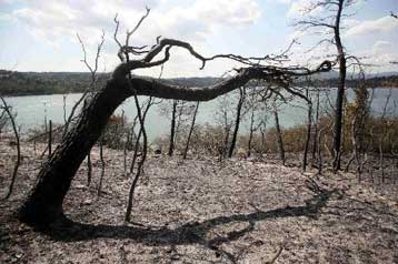 Στον Χρ.Μαρκογιαννάκη εντός της ημέρας το πόρισμα για τις πυρκαγιές
