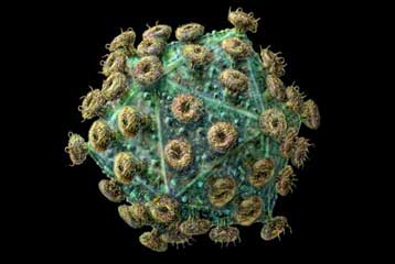 Ανακάλυψη αντισωμάτων δίνει ελπίδες για εμβόλιο κατά του HIV