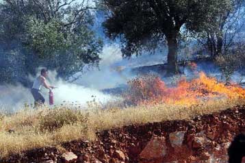 Σε πλήρη έλεγχο οι φωτιές σε δασικές περιοχές του Έβρου