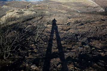 Συνδρομή της ΕΕ στην αποζημίωση αγροτών που επλήγησαν από πυρκαγιές ζητά η Αθήνα