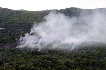 Υπό έλεγχο τα δύο πύρινα μέτωπα σε Νάουσα Ημαθίας και Πέλλα
