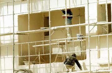 Ποντίκια μετεωρίζονται έκπληκτα σε αμερικανικό εργαστήριo