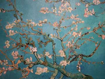 Τα μυστικά της τέχνης του Βαν Γκογκ στο Νέο Ψηφιακό Πλανητάριο