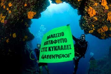 Θαλάσσιο καταφύγιο στις Κυκλάδες ζητά η Greenpeace