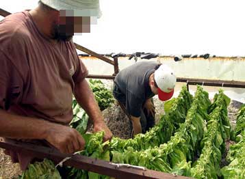 Στο στόχαστρο της ΕΛ.ΑΣ. κυκλώματα προώθησης αλλοδαπών από βαλκανικές χώρες