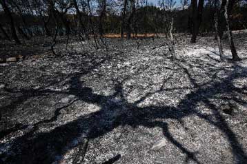 Οριοθετήθηκαν οι πυρόπληκτες περιοχές από τις φωτιές του Αυγούστου