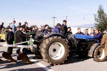 Ανέστειλαν τις κινητοποιήσεις τους ελαιοπαραγωγοί της Χαλκιδικής