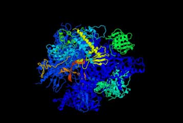 Λογισμικό προσομοιώνει το μεταβολισμό βακτηρίου