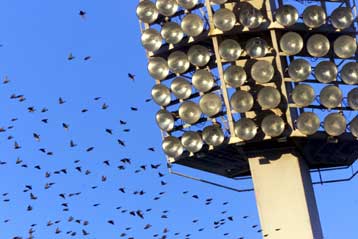 Κόβονται δύο… εισιτήρια για την επόμενη φάση του Κυπέλλου