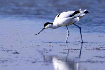 Στο μικροσκόπιο της Κομισιόν η κατάσταση στο Δέλτα Αξιού