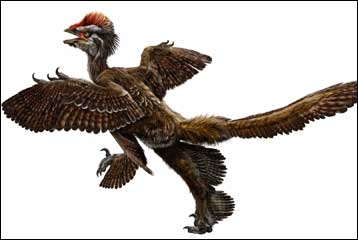 Φτερωτός δεινόσαυρος είναι ο «χαμένος κρίκος» στην εξέλιξη των πτηνών