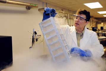 Σε θεραπεία με δικά του βλαστοκύτταρα υποβλήθηκε κοριτσάκι από τη Β.Ελλάδα