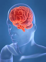 Τζελ αποκαθιστά τις εγκεφαλικές βλάβες σε πειραματόζωα