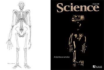 Στο φως ο αρχαιότερος γνωστός πρόγονος του ανθρώπου