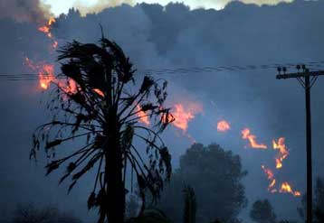 Πυρκαγιά σε δασική έκταση στην περιοχή Λιχάδα της Βόρειας Εύβοιας