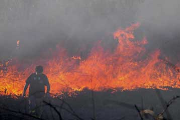 Δεν έχει καταθέσει η Ελλάδα αίτηση αποζημιώσεων στην Κομισιόν για τις πυρκαγιές