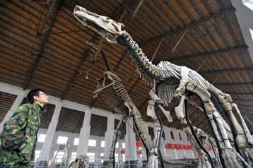 Πλούσια «νεκροταφεία» δεινόσαυρων εξερευνώνται σε ΗΠΑ και Κίνα