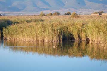 Υπόγεια πυρκαγιά μαίνεται για εβδομάδες σε υγρότοπο της Ισπανίας