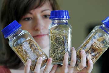 Εργοστάσιο βιομάζας θα ηλεκτροδοτεί και θα θερμαίνει τα Γρεβενά