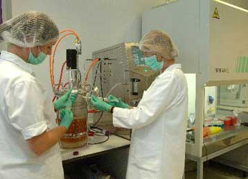 Νοσοκομειακός γιατρός προσβλήθηκε από τη νέα γρίπη