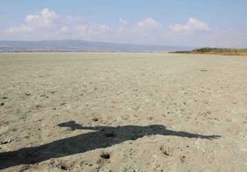 Δίωξη σε βάρος 20 βιομηχανικών μονάδων για τη ρύπανση της λίμνης Κορώνειας