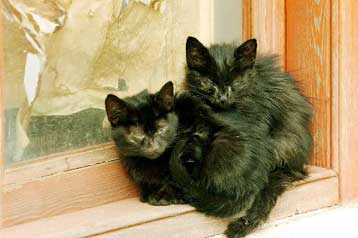 Επιδείνωση του καιρού με χαμηλές θερμοκρασίες και δεμένα πλοία σε λιμάνια