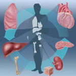 Έκκληση για την απαγόρευση της διακίνησης ανθρωπίνων οργάνων