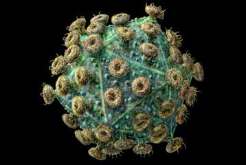 Γονιδιακή θεραπεία σταματά θανατηφόρο πάθηση του εγκεφάλου