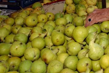 Συναγερμός και στην Ελλάδα για τα «ύποπτα» τουρκικά αχλάδια