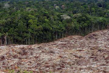 Μείωση-ρεκόρ στην αποψίλωση του Αμαζονίου αναφέρει η Βραζιλία