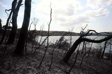Στο Υπουργικό Συμβούλιο το σχέδιο νόμου για την προστασία των καμένων της Αττικής