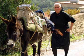 Οι γάιδαροι της Ελλάδας τραβούν την κατηφόρα