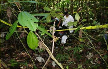 Φρικιαστική υπόθεση δολοφονιών αποκαλύπτεται στο Περού