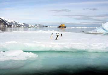 Και στην Ανατολική Ανταρκτική φαίνεται να επεκτείνεται η απώλεια πάγου