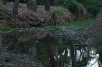 Κάμερες και αισθητήρες επαγρυπνούν για πυρκαγιές στο ρέμα Χαλανδρίου