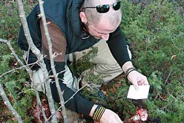 Αγνωστος πυροβόλησε και ακρωτηρίασε αρκουδάκι κοντά στην Ξάνθη