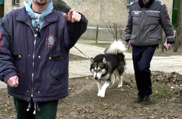 Ένοπλος άνοιξε πυρ σε Πανεπιστήμιο της Ουγγαρίας