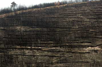 Έτοιμα κατά 90% τα αντιπλημμυρικά έργα στην περιοχή του Μαραθώνα