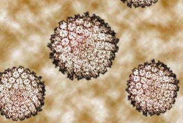 Πειραματικό εμβόλιο θεραπεύει προκαρκινικές αλλοιώσεις στα γεννητικά όργανα