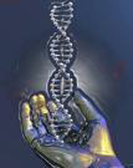 Οι εύποροι μπορεί να εξελιχτούν σε ξεχωριστό ανθρώπινο είδος