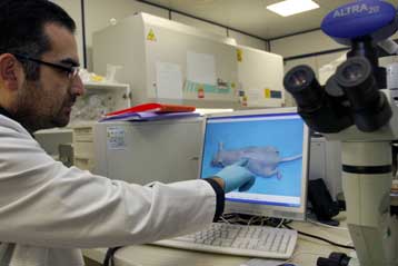 Ταχεία παραγωγή τεχνητού δέρματος υπόσχεται γαλλική μέθοδος