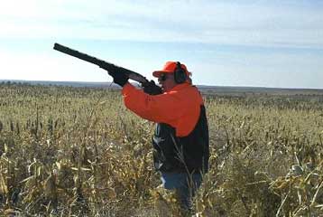 Απαγορεύεται προσωρινά το κυνήγι με απόφαση του ΣτΕ