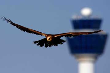 Ανακοινώθηκαν οι ελληνικές εταιρείες που θα εκτελούν αεροπορικά δρομολόγια εκτός ΕΕ