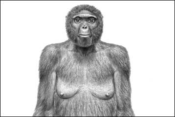 Οι δέκα σημαντικότερες ανακαλύψεις το 2009 σύμφωνα με το Science