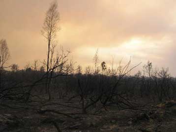 Εναλλακτική λύση για τη χάραξη της Ολυμπίας οδού στον Καϊάφα εξετάζει η κυβέρνηση