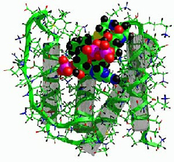 Ελπίδες πρώιμης διάγνωσης της νόσου Αλτσχάιμερ, χωρίς καν να εκδηλωθούν συμπτώματα